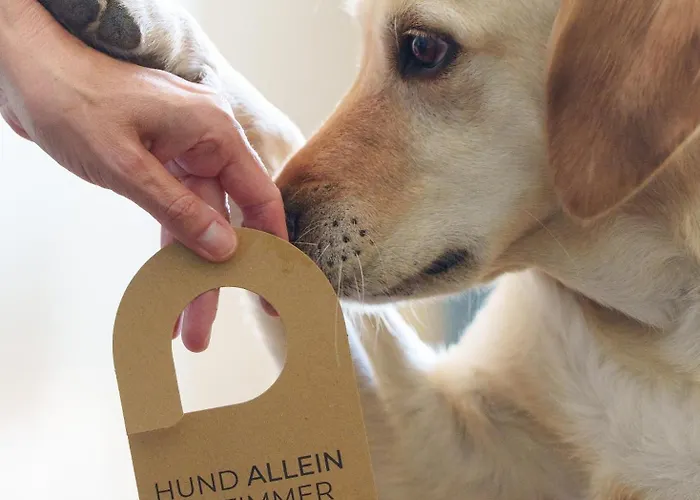 ホテル The ロストック